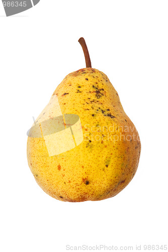 Image of Pear