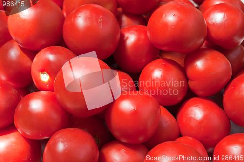 Image of tomatoes