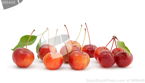 Image of Chinese cherry apples on white background