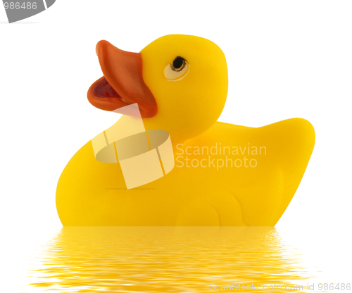 Image of Toy Duck Floating