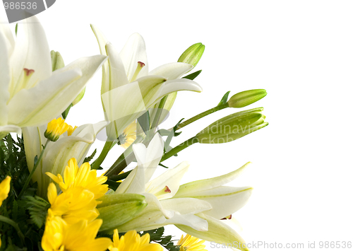 Image of Detail of yellow daisy flowers 