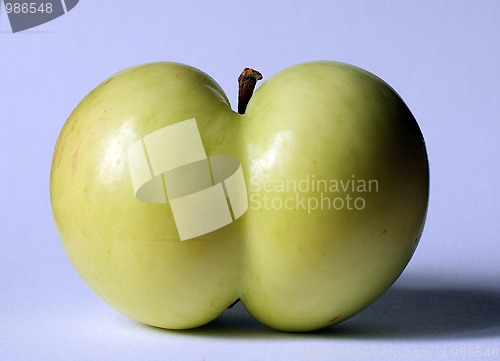 Image of apple of a funny shape