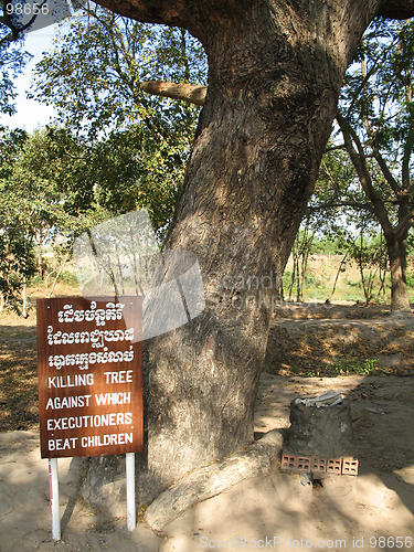 Image of Killing tree against which executioners beat children. Cambodia