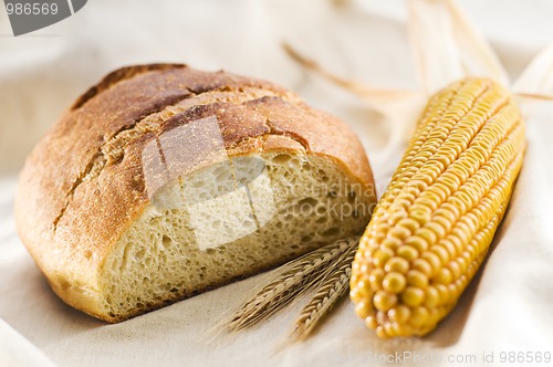 Image of Corn bread