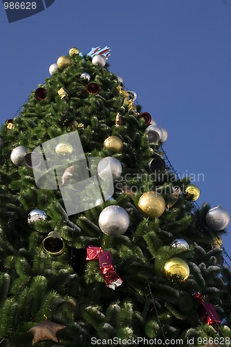 Image of christmas tree