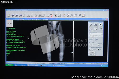 Image of X-ray of a dog's leg