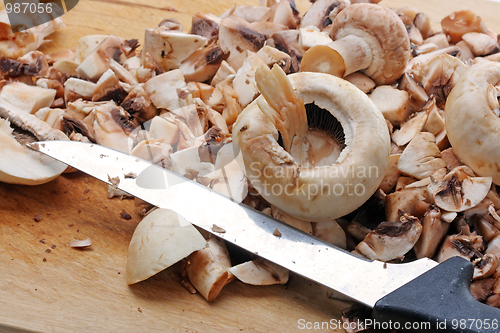 Image of Fresh mushrooms