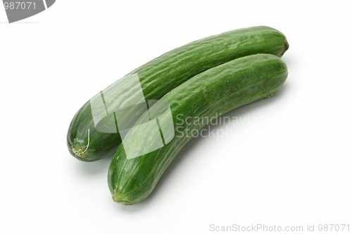 Image of Tasty kitchen. Fresh vegetables isolated on white