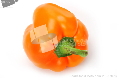 Image of Yellow pepper