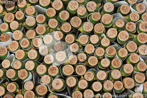 Image of The bamboo texture