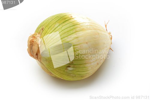Image of Tasty kitchen. Fresh vegetables isolated on white