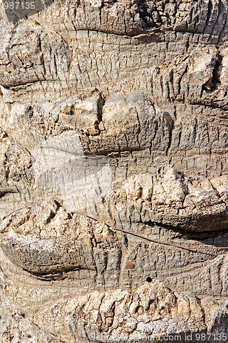 Image of Wooden texture