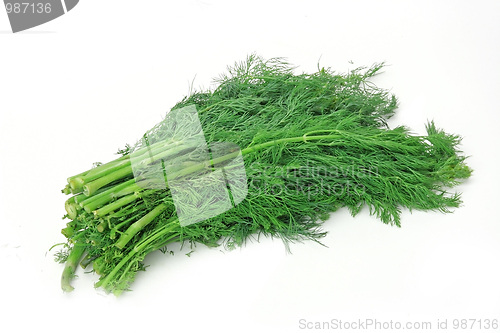 Image of Healthy food. Dill