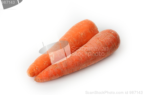 Image of The red carrot