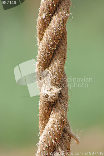 Image of The rope