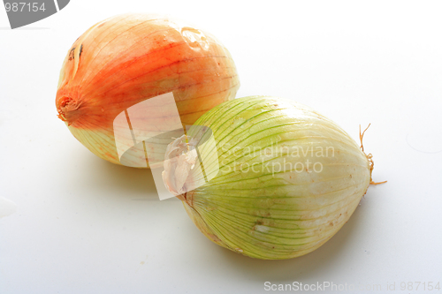 Image of Tasty kitchen. Fresh vegetables isolated on white