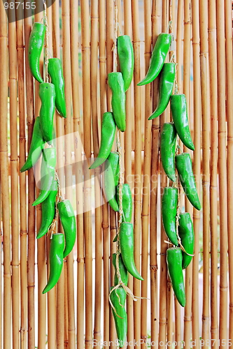 Image of The bamboo fence