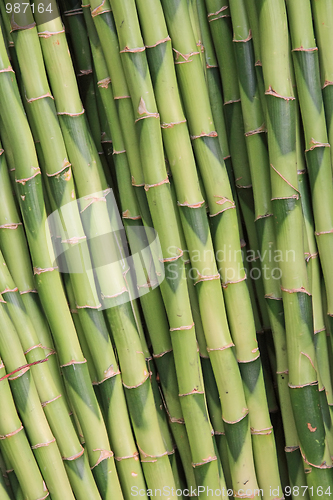 Image of Straw texture