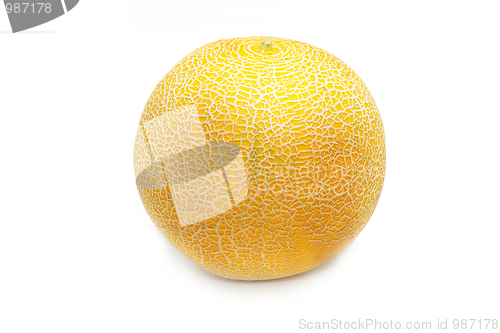 Image of Fresh tasty melon isolated on white background
