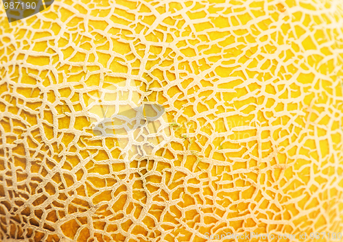 Image of Melon texture
