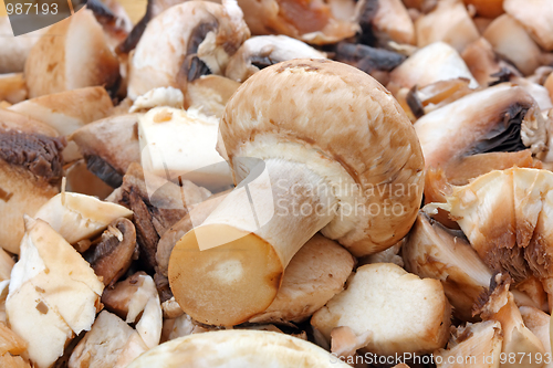 Image of Fresh mushrooms