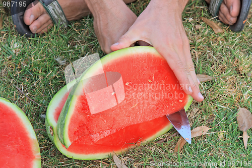 Image of The picnic. Cutting a watermelon