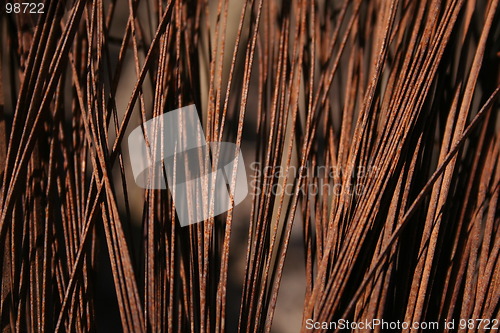 Image of Metal hairs