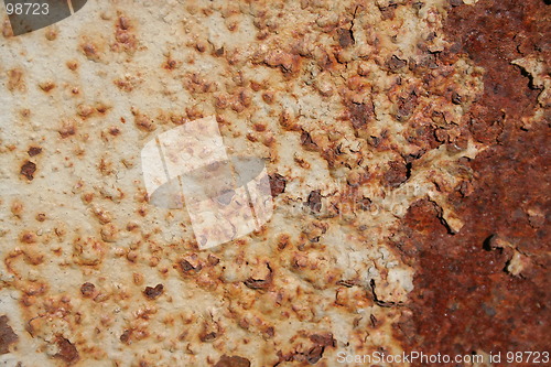 Image of Coarse rust