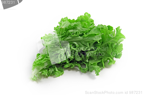 Image of The green spinach 