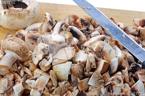 Image of Fresh mushrooms