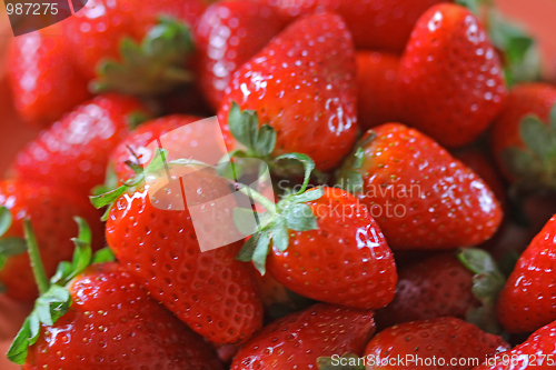 Image of Tasty strawberry