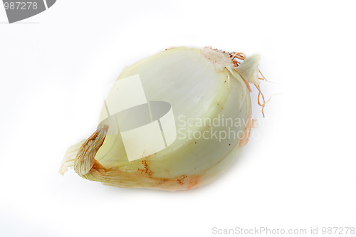 Image of Tasty kitchen. Fresh vegetables isolated on white