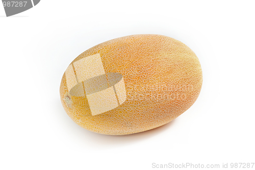 Image of Fresh tasty melon isolated on white background