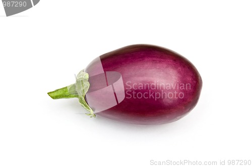 Image of Asian egg plant