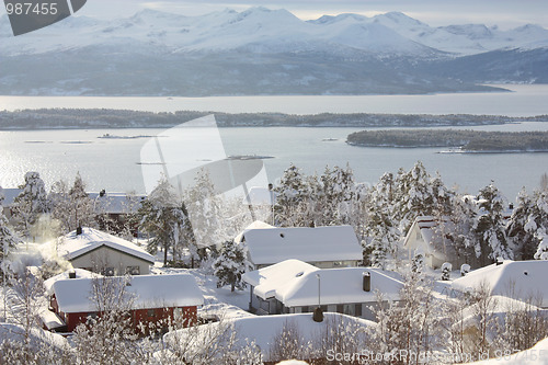 Image of Winter landscape