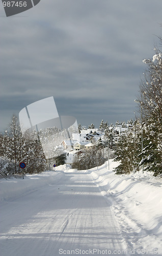 Image of Winter landscape