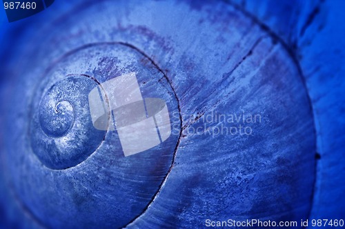 Image of Blue shell