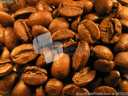 Image of coffee beans