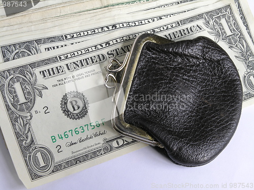 Image of dollars and purse