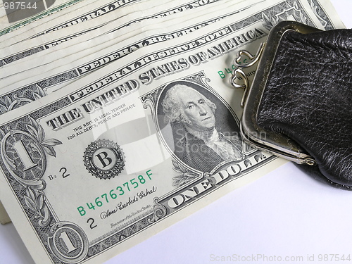 Image of dollars and purse