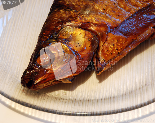 Image of fish