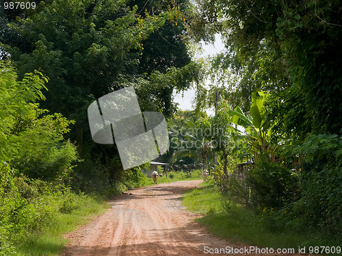 Image of Village road in Thailand
