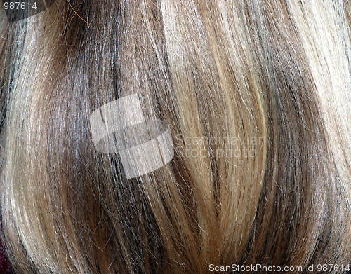 Image of blonde hair