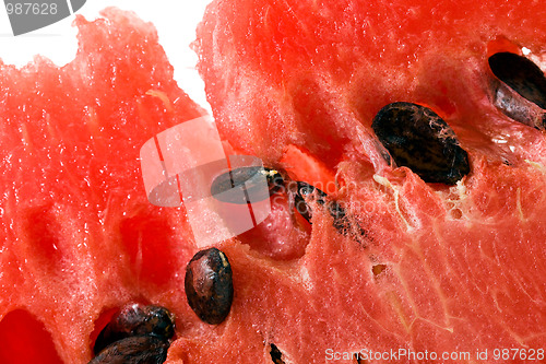 Image of Water-melon