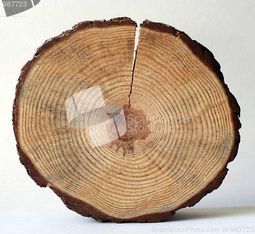 Image of wooden circle