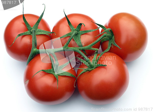 Image of tomato