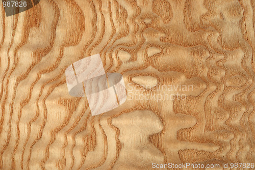 Image of veneer sheet