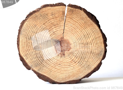 Image of wooden circle