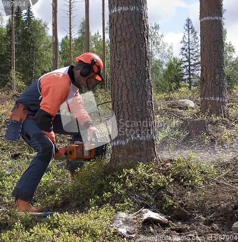 Image of wood-cutter