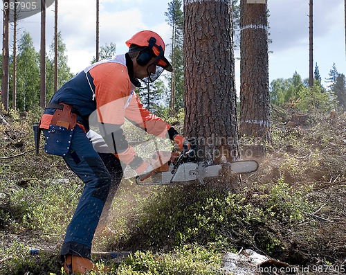 Image of wood-cutter